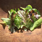 Metta Lettuce Mix (Organic) Hudson Valley Seed Company