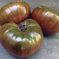 Paul Robeson Tomato Art Pack (Organic) Hudson Valley Seed Company