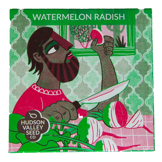 Organic Watermelon Radish Art Pack Grow Organic