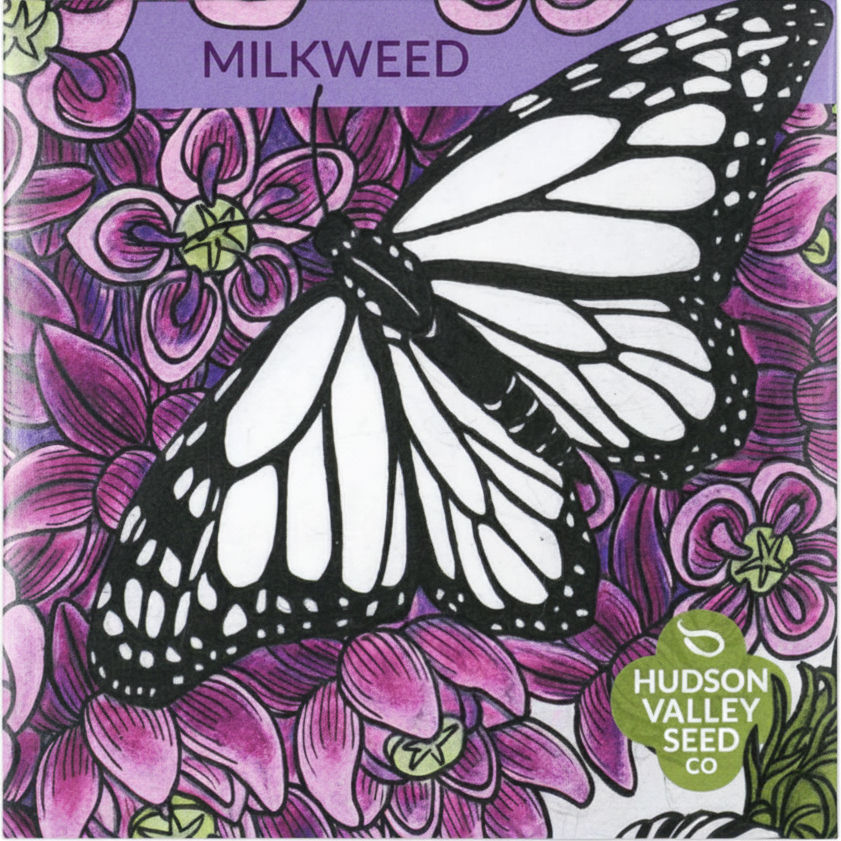 Milkweed Art Pack Hudson Valley Seed Company