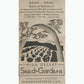 Buerre de Rockencourt Wax Bush Bean Seeds High Desert Seed and Gardens