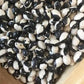 Calypso Bush Bean Seeds High Desert Seed and Gardens