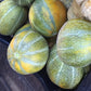 Ha'Ogen Melon Seeds High Desert Seed and Gardens