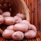 Red Pontiac Potato (Organic) Grow Organic