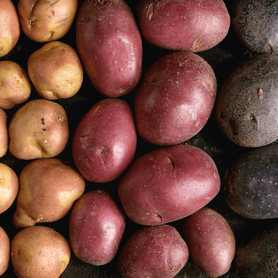 Close-up of red and brown potatoes on a dark surface