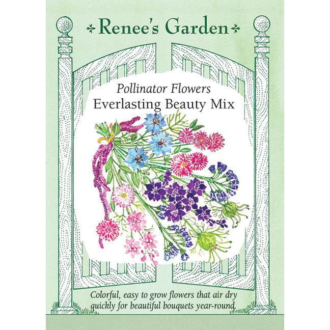 Everlasting Beauty Mix Renee's Garden