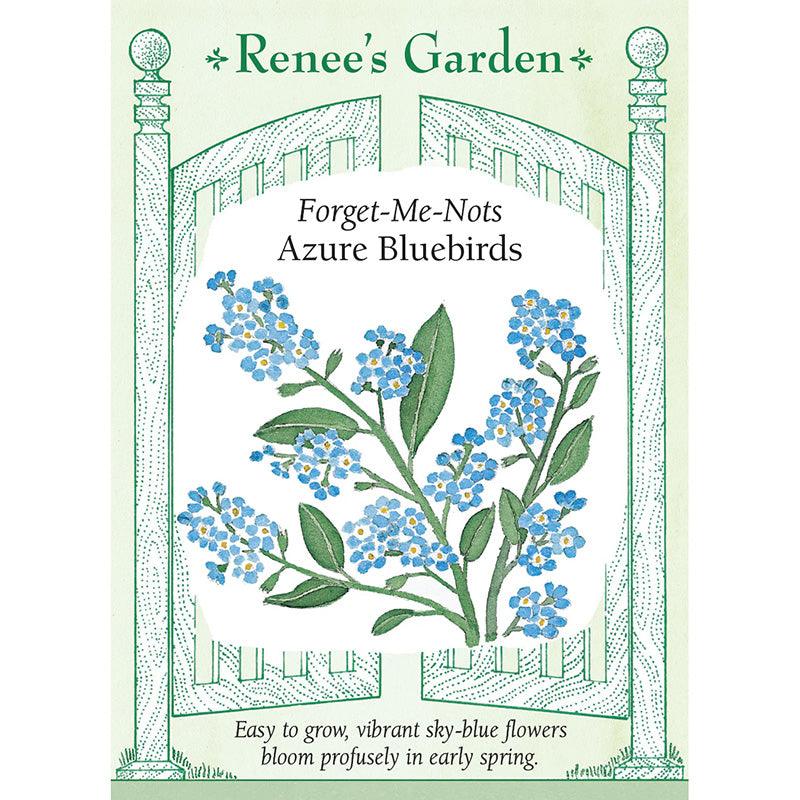 Forget-Me-Not Azure Bluebirds Renee's Garden