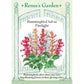 Firelight Salvia Renee's Garden