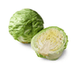 Organic  Round Green Cabbage Grow Organic