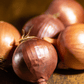 Organic French Red Shallots (lb) Grow Organic