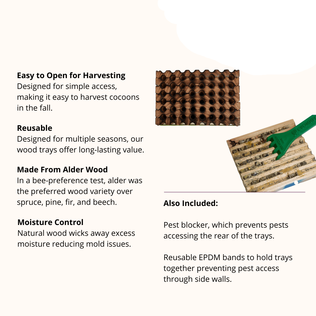 Spring Reusable Wood Trays for Mason Bees - 8mm CrownBees