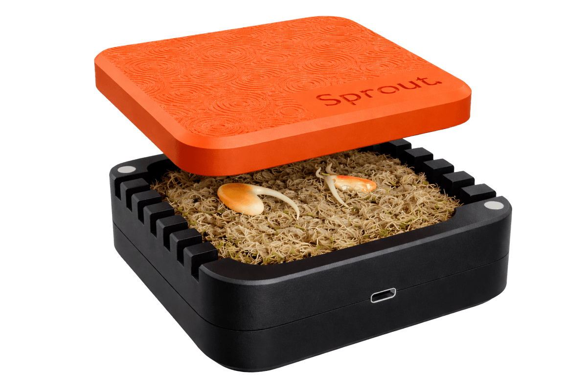 Sprout Silicone Germination Chamber Root Nerds