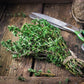 Summer Savory Grow Organic