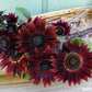 Cinnamon Sun Sunflower Renee's Garden