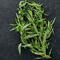 Organic French Tarragon (1 Gallon) Grow Organic