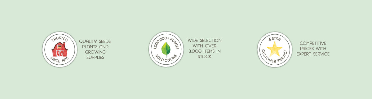 3 trust building icons on a light green background