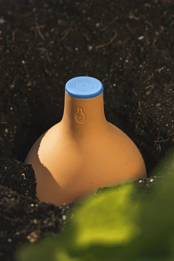 Growoya Oya Watering Pot Grow Organic