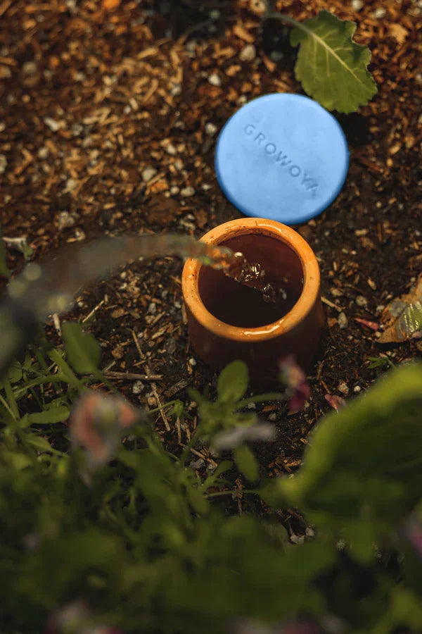 Growoya Oya Watering Pot Grow Organic
