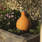 Growoya Oya Watering Pot 3 Liter Grow Organic