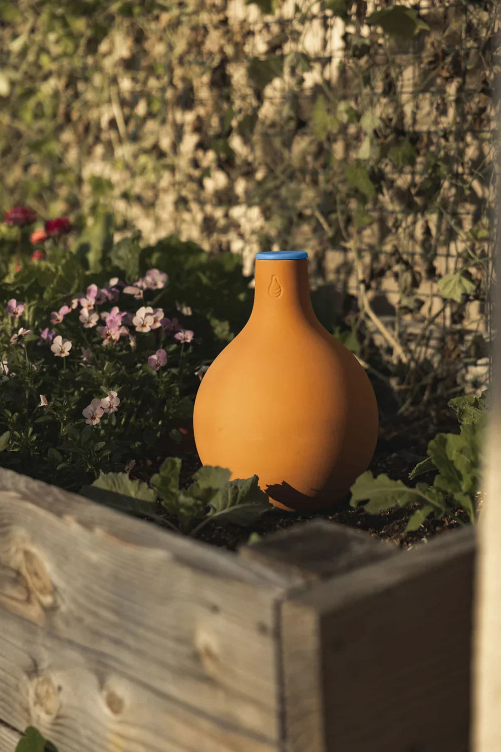Growoya Oya Watering Pot 3 Liter Grow Organic