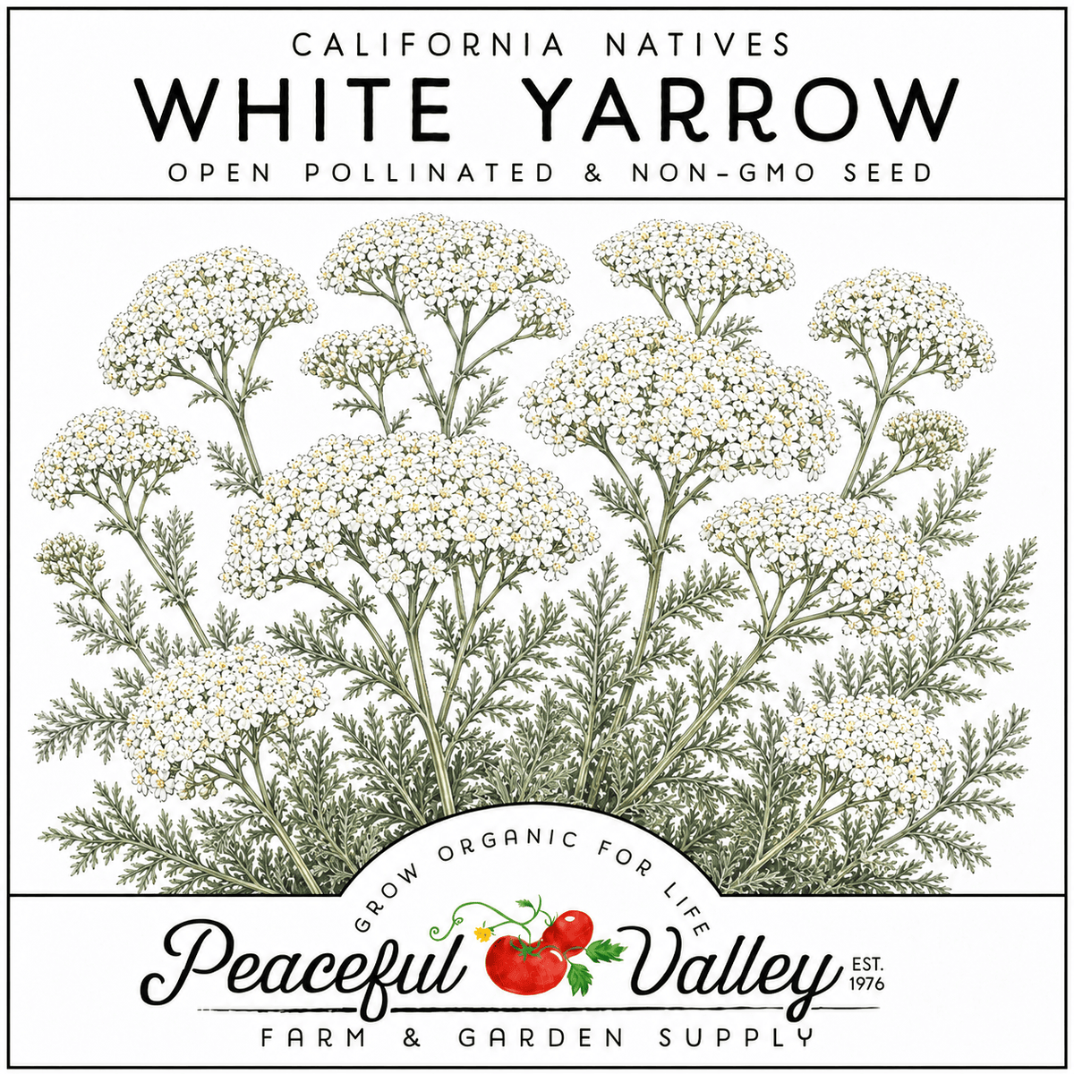 Peaceful Valley California Natives Stickers White Yarrow Grow Organic