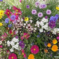 Beekeeper's Early Blooming Mix Renee's Garden