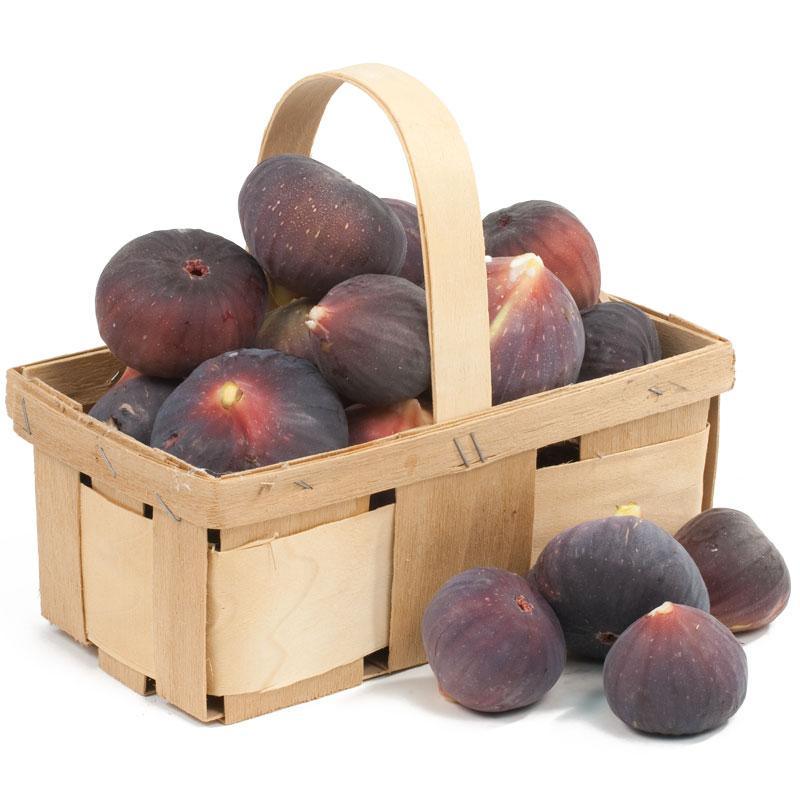 Black Mission fig tree product image