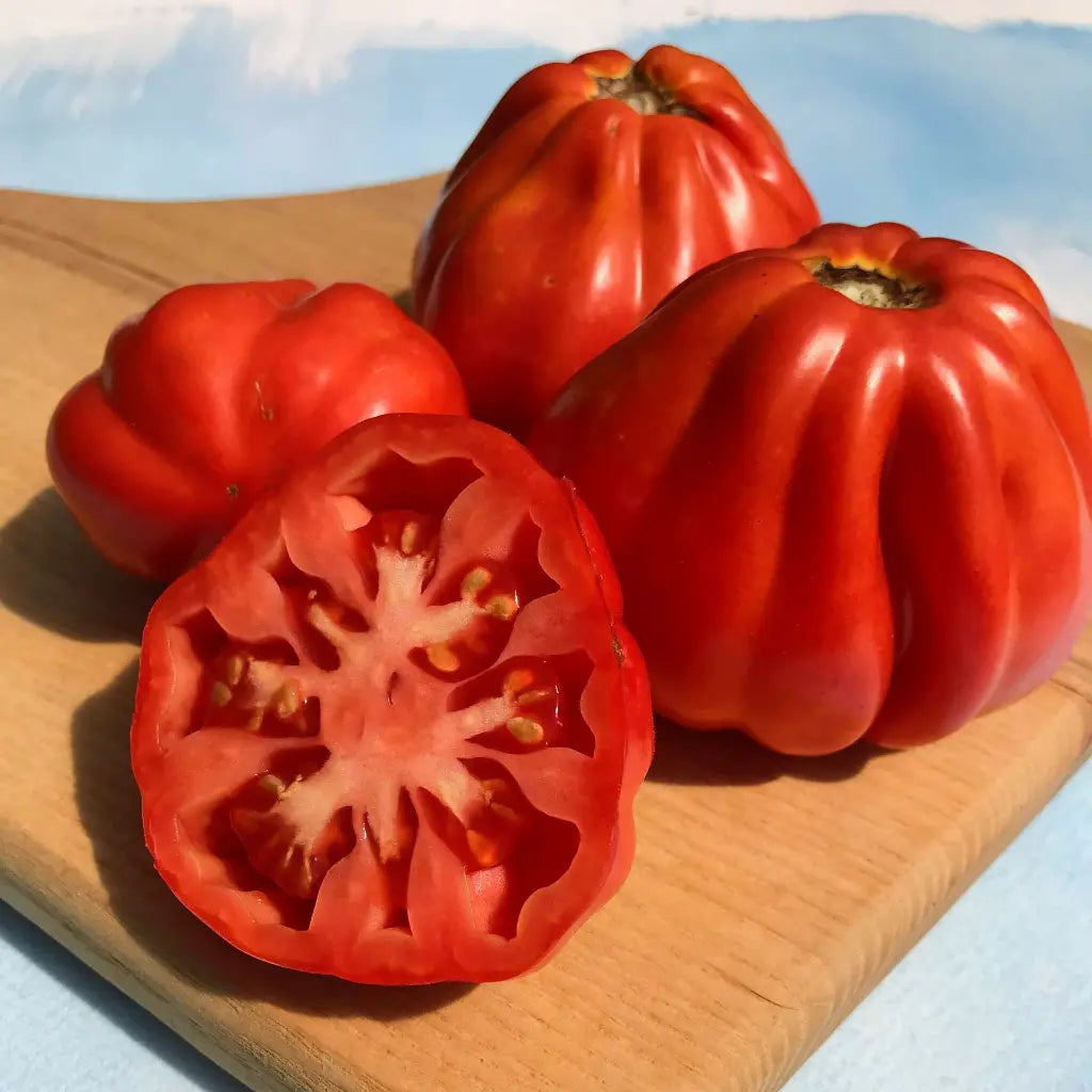 Cesare's Canestrino di Lucca Tomato Seeds (Organic) Hudson Valley Seed Company