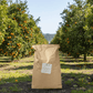 Citrus and Avocado Fertilizer (50 lb) California Organic Fertilizer