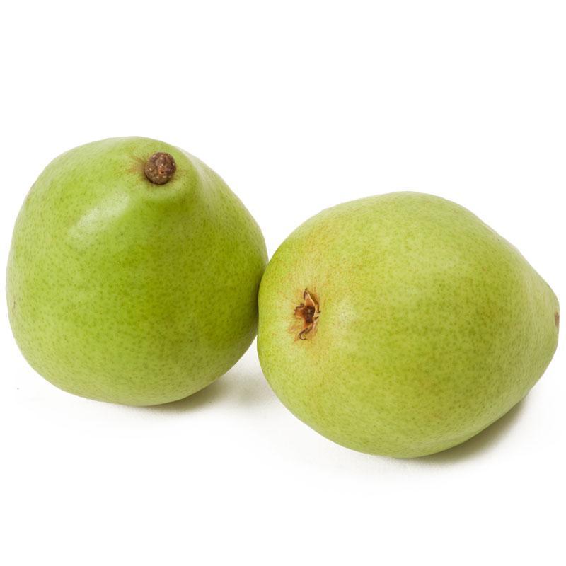 D'Anjou Pear Tree Grow Organic