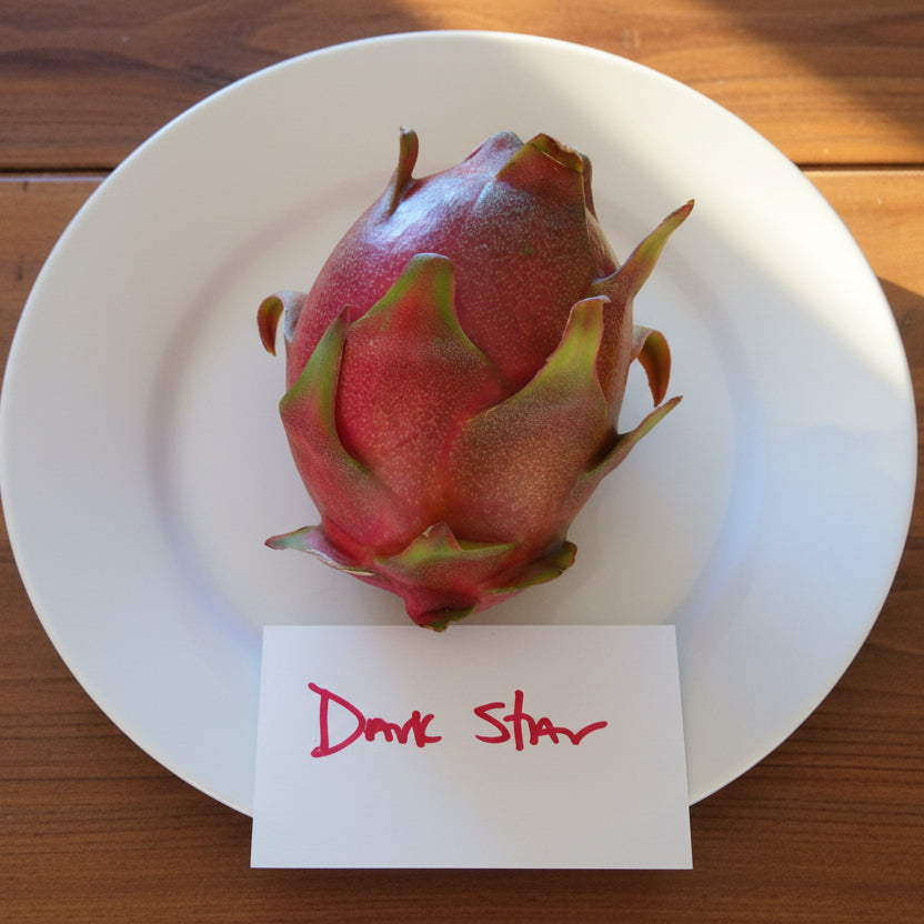 Dark Star 9-S Wallace Ranch Dragon Fruit
