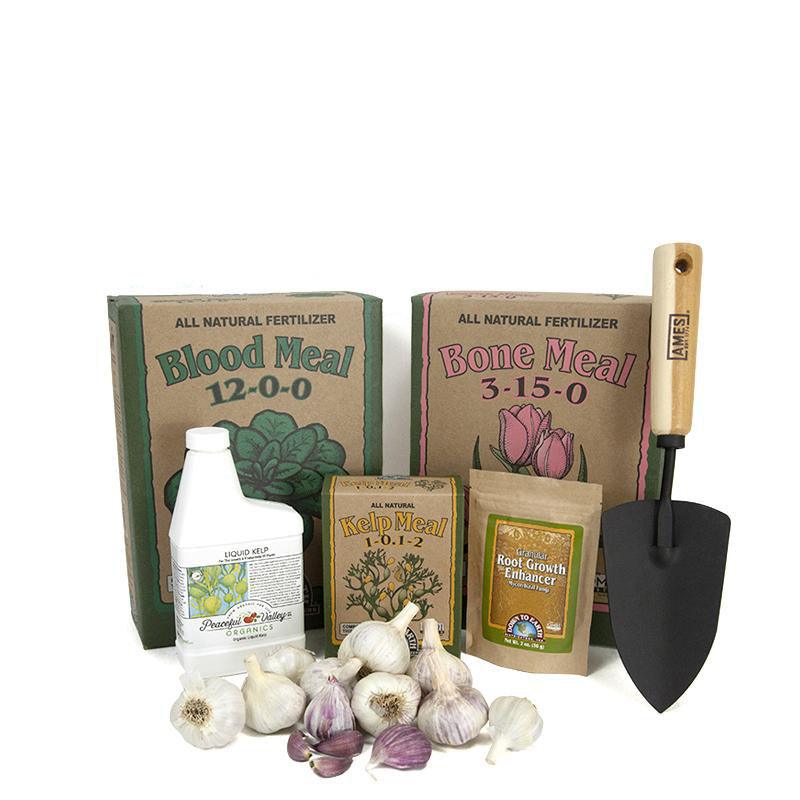 Down to Earth Organic Garlic Growing Kit Grow Organic