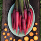 Dragon Carrot Seeds (Organic) Peaceful Valley