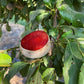 Elephant Heart Plum Tree Grow Organic
