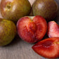 "Constant Harvest" Pluot 4 on 1 Multi Grafted Fruit Tree Grow Organic