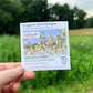 Foxglove Beardtongue Seeds (Organic) Hudson Valley Seed Company