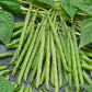 French Garden Bean Seeds (Organic) Peaceful Valley