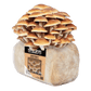 Organic Chestnut Mushroom Grow Kit Fruiting Block North Spore