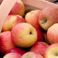Dwarf Fuji Apple Tree Grow Organic