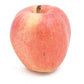 Dwarf Gala Apple Tree Grow Organic