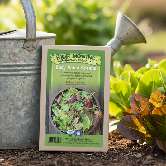 Organic Easy Salad Greens 3 Seeds Packets High Mowing Seeds