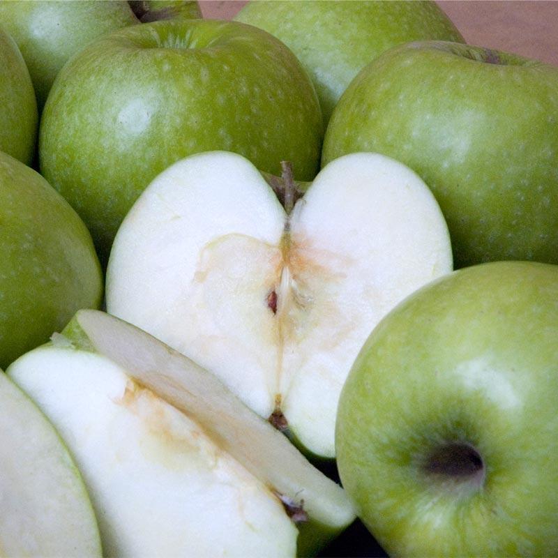 Dwarf Granny Smith Apple Tree Grow Organic