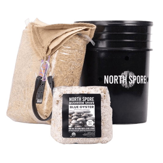 'MushBucket' Mushroom Bucket Grow Kit Blue Oyster North Spore