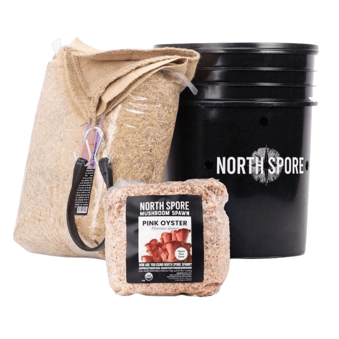 'MushBucket' Mushroom Bucket Grow Kit Pink Oyster North Spore