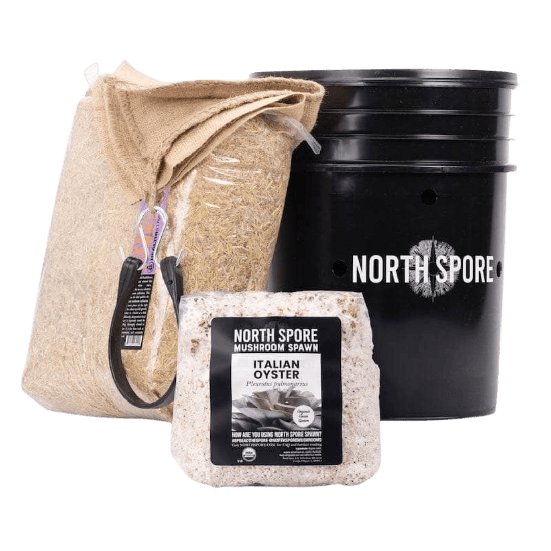 'MushBucket' Mushroom Bucket Grow Kit Italian Oyster North Spore