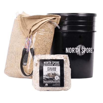 'MushBucket' Mushroom Bucket Grow Kit Italian Oyster North Spore