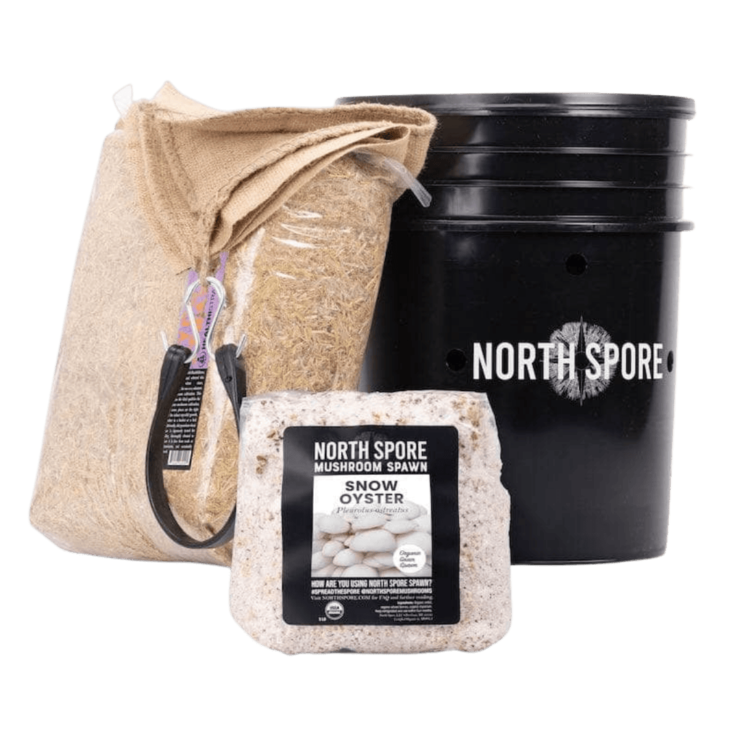 'MushBucket' Mushroom Bucket Grow Kit Snow Oyster North Spore