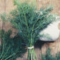 Mammoth Dill Seeds (Organic) Peaceful Valley