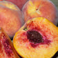 JH Hale Peach Tree Grow Organic
