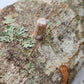 Organic Chicken of the Woods Mushroom Outdoor Log Kit North Spore